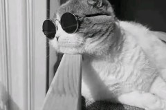 龙王海底“996”职场风暴：哪吒助力整顿新篇章